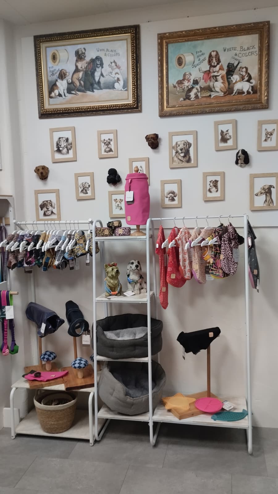 BAIU - SASTRERIA CANINA