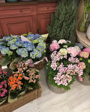 UI DREAMS FLOWERS